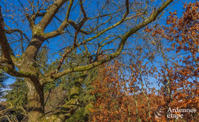 Vakantiehuis in Waimes voor 12/14 personen in de Ardennen