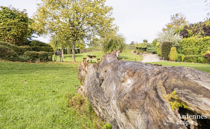 Vakantiehuis in Walcourt, Ardennen, 6 personen, 3 slaapkamers, buitenzwembad, gemeenschappelijke tuin, moderne voorzieningen