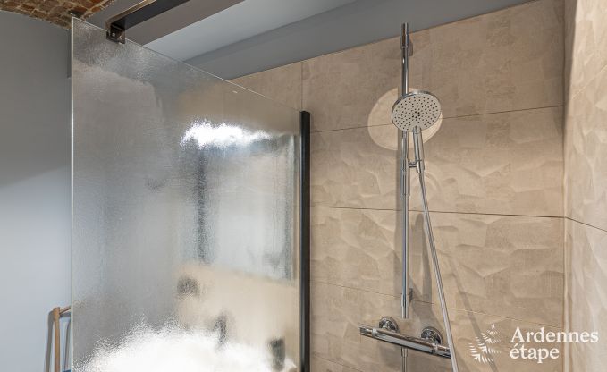 Vakantiehuis in Walcourt, Ardennen, 6 personen, 3 slaapkamers, buitenzwembad, gemeenschappelijke tuin, moderne voorzieningen