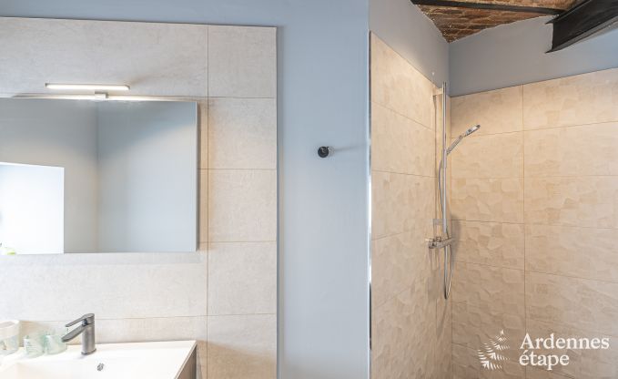 Vakantiehuis in Walcourt, Ardennen, 6 personen, 3 slaapkamers, buitenzwembad, gemeenschappelijke tuin, moderne voorzieningen