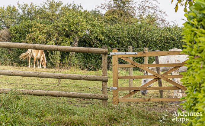 Ruime vakantiewoning in Walcourt, Ardennen, 5 slaapkamers, 5 badkamers, zwembad en gezinsvoorzieningen voor 10 personen