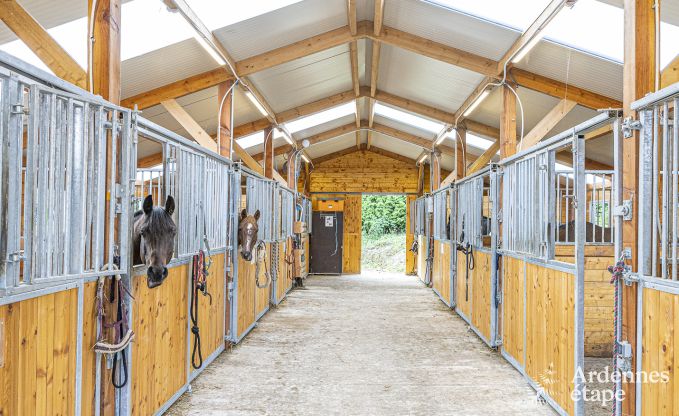 Ruime vakantiewoning in Walcourt, Ardennen, 5 slaapkamers, 5 badkamers, zwembad en gezinsvoorzieningen voor 10 personen