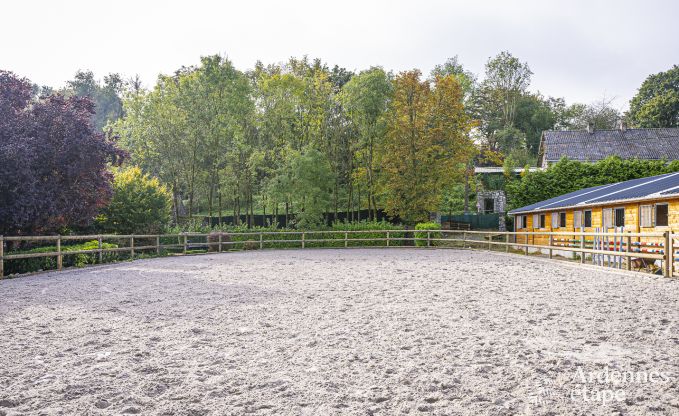 Ruime vakantiewoning in Walcourt, Ardennen, 5 slaapkamers, 5 badkamers, zwembad en gezinsvoorzieningen voor 10 personen