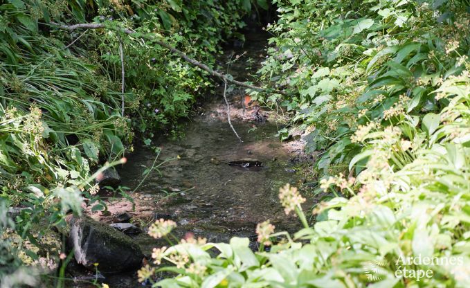 Zalige vakantiewoning in Wanze, Ardennen