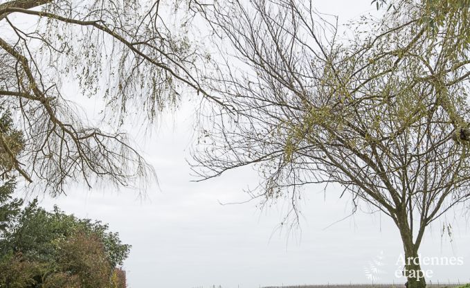 Buitengewoon in Waremme voor 4 personen in de Ardennen