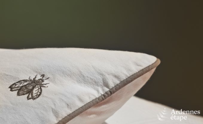 Kasteel in Waremme voor 10/11 personen in de Ardennen