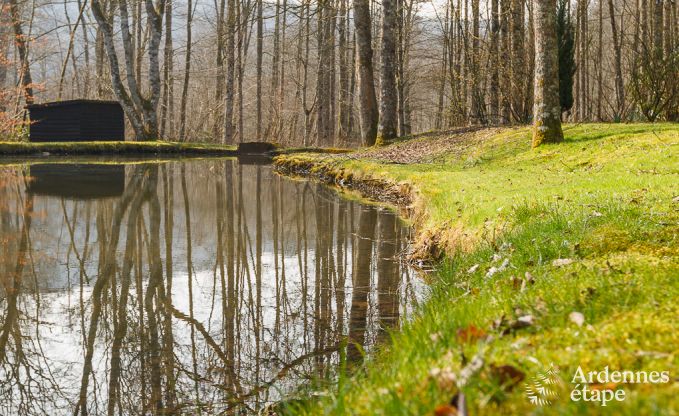 Vakantiehuis in Wellin voor 26 personen in de Ardennen