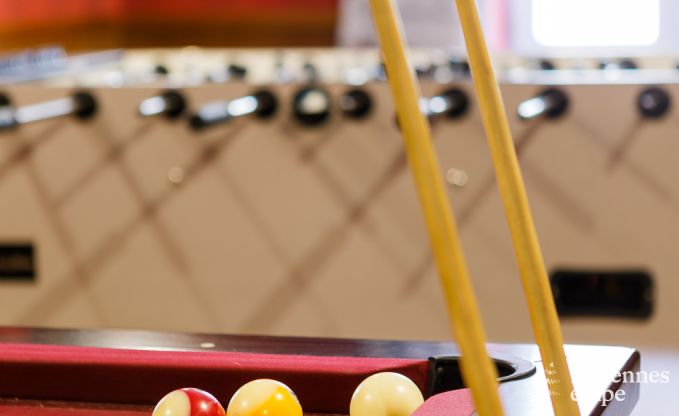 Vakantiehuis in Wellin voor 26 personen in de Ardennen