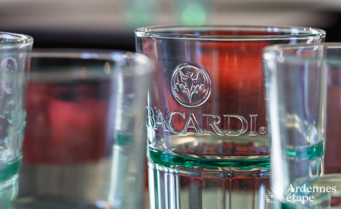 Vakantiehuis in Wellin voor 26 personen in de Ardennen