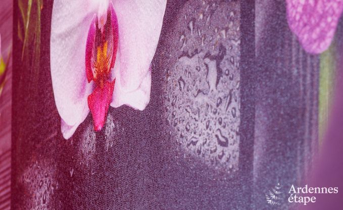 Vakantiehuis in Wellin voor 26 personen in de Ardennen