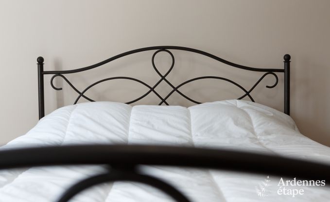 Vakantiehuis in Wellin voor 26 personen in de Ardennen