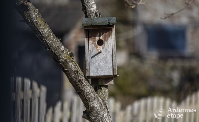 Vakantiehuis in Wellin voor 9 personen in de Ardennen