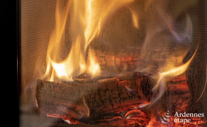 Vakantiehuis in Wellin voor 9 personen in de Ardennen