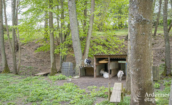 Landhuis in Wellin voor 14 personen in de Ardennen