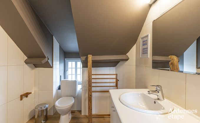 Landhuis in Wellin voor 14 personen in de Ardennen