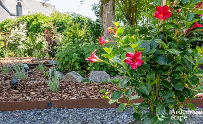 Vakantiehuis in Wellin voor 10 personen in de Ardennen
