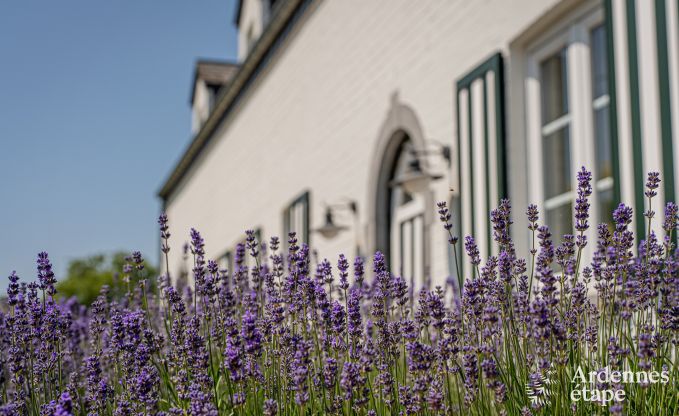 Vakantiehuis in Wellin voor 14 personen in de Ardennen