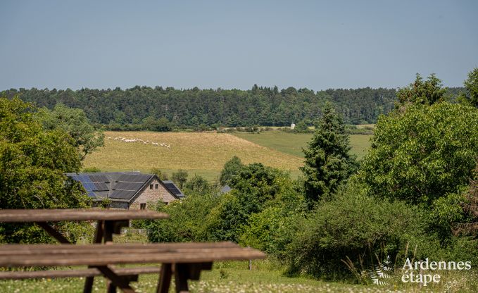 Vakantiehuis in Wellin voor 14 personen in de Ardennen