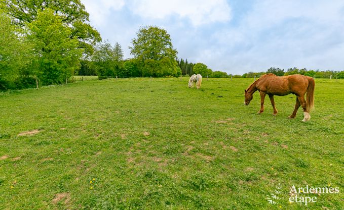 Vakantiehuis in Wellin voor 8 personen in de Ardennen