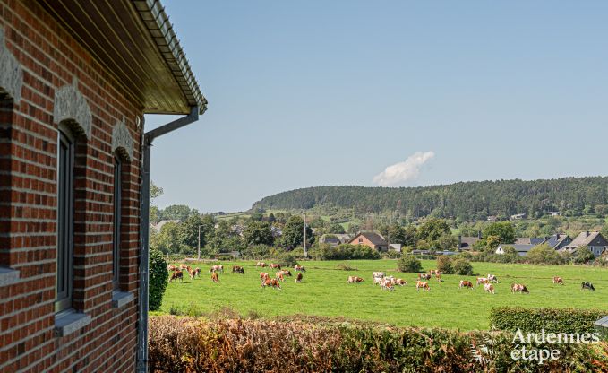 Kindvriendelijk vakantiehuis voor 8 personen in Wellin, Ardennen
