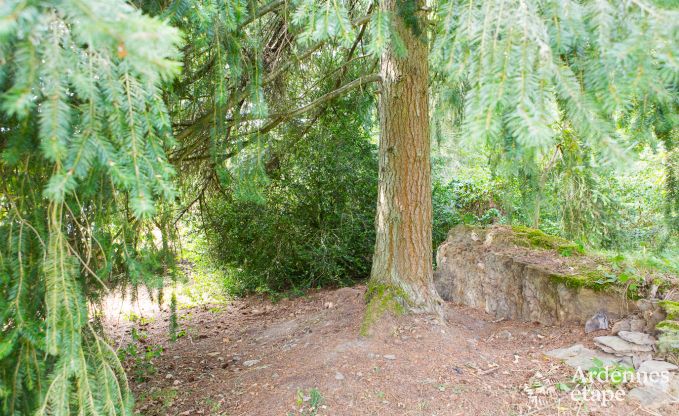 Chalet in Wiltz (G.D. Luxembourg) voor 11/13 personen in de Ardennen