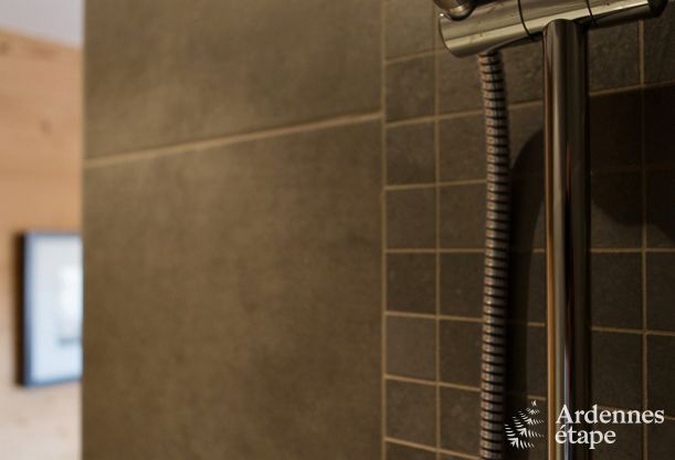 Chalet in Wiltz (G.D. Luxembourg) voor 11/13 personen in de Ardennen