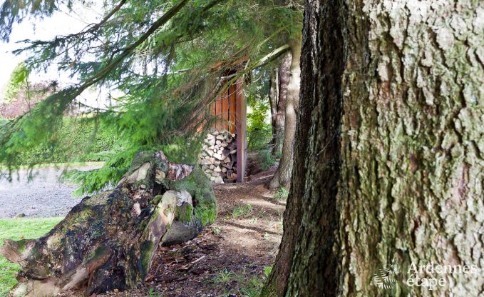 Vakantiehuis in Xhoffraix voor 10 personen in de Ardennen