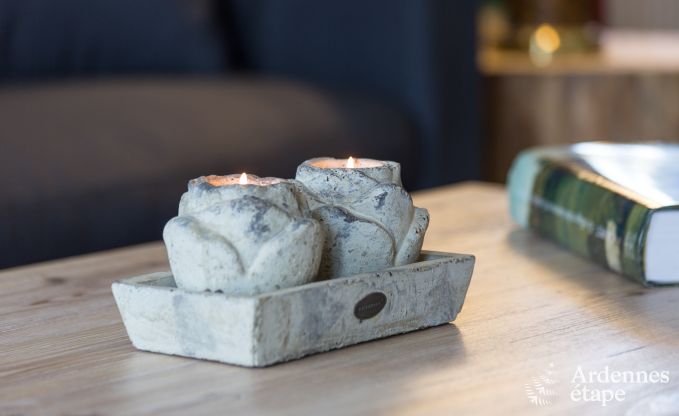 Vakantiehuis in Yvoir (Crupet) voor 14 personen in de Ardennen