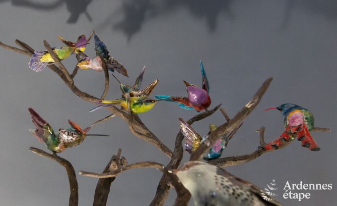 Vakantiehuis in Yvoir (Crupet) voor 14 personen in de Ardennen