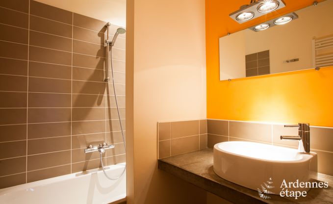 Vakantiehuis in Yvoir voor 4/5 personen in de Ardennen