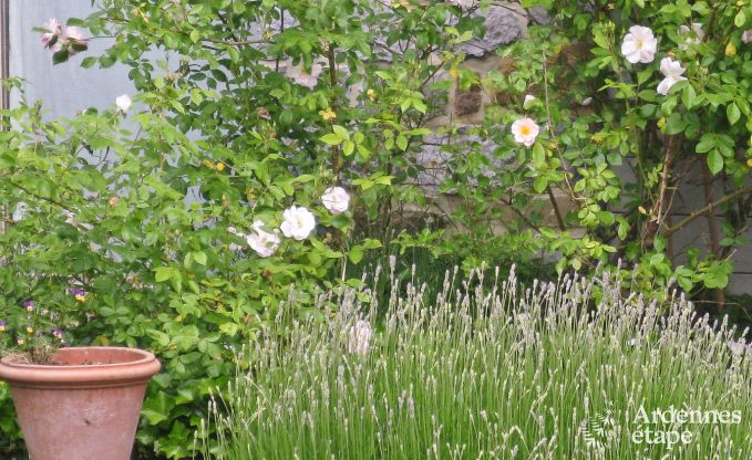 Vakantiehuis in Yvoir voor 4/5 personen in de Ardennen