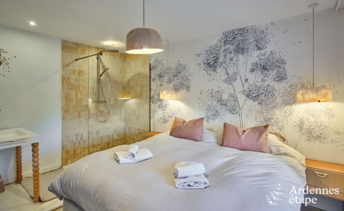 Charmante dorpswoning voor 10 personen in Yvoir: hottub, open haard, grote privtuin