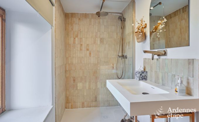 Charmante dorpswoning voor 10 personen in Yvoir: hottub, open haard, grote privtuin