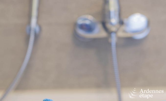 Luxe villa in Robertville voor 12 personen in de Ardennen